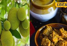 Kathal Ka Achaar: एक बार झारखंडी स्टाइल में बनाएं कटहल का अचार, सालों नहीं होगा खराब, लाजवाब स्वाद की रेसिपी!