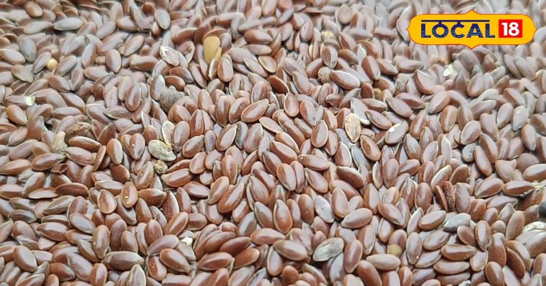 Flaxseed Benefits : सिर्फ 2 चम्मच अलसी, ओमेगा-3 और एंटीऑक्सीडेंट्स का पावरहाउस, कैंसर तक की छुट्टी – Uttar Pradesh News