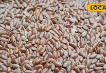 Flaxseed Benefits : सिर्फ 2 चम्मच अलसी, ओमेगा-3 और एंटीऑक्सीडेंट्स का पावरहाउस, कैंसर तक की छुट्टी – Uttar Pradesh News