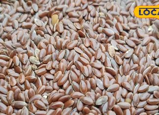 Flaxseed Benefits : सिर्फ 2 चम्मच अलसी, ओमेगा-3 और एंटीऑक्सीडेंट्स का पावरहाउस, कैंसर तक की छुट्टी – Uttar Pradesh News