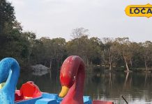 Dehradun News : ये सर्दियों वाले मेहमान, बिना नागा अमेरिका-इंग्लैंड से आते यहां, देहरादून की ये जगह इनका अड्डा, जानें