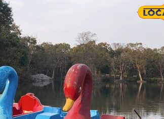 Dehradun News : ये सर्दियों वाले मेहमान, बिना नागा अमेरिका-इंग्लैंड से आते यहां, देहरादून की ये जगह इनका अड्डा, जानें