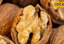 अखरोट के फायदे आयुर्वेद के अनुसार मस्तिष्क और नर्वस सिस्टम के लिए.