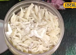 कमजोरी, तनाव और इम्युनिटी… एक ही औषधि में सबका इलाज, जानिए सालम पंजा का इस्तेमाल तरीका – Uttar Pradesh News