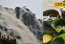 पर्यटक फरवरी में जाएं बस्तर के इस वॉटरफाल, यहां मिलेगा लाल चींटी की चटनी से चाउर भाजा का जायका – Chhattisgarh News