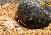 Pahadi Salt Recipe : भांग के बीज, नींबू का छिलका…जानें पहाड़ी नमक बनाने का तरीका, चुटकियों में बनाएं महीनों का स्टॉक – Uttarakhand News