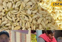 नाश्ते में सब्जी बनाना नहीं चाहते हैं, तो झटपट बनाएं ये चटपटी चीज, स्वाद के साथ सेहत का है खजाना – Uttarakhand News