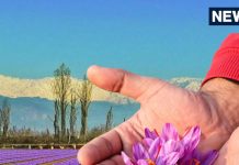 Which Place Is Known As The Saffron Capital Of India