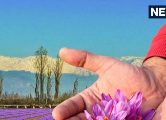 Which Place Is Known As The Saffron Capital Of India