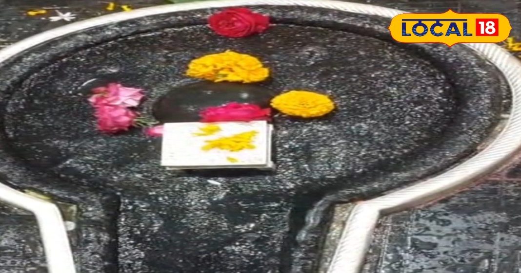 Mahashivratri 2026: शिवरात्रि डेट कन्फ्यूजन खत्म! जानें रुद्राभिषेक का समय और भद्रा-पंचक स्थिति