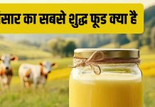 What is the purest food on Earth | प्रकृति का सबसे शुद्धतम खाद्य पदार्थ क्या है