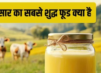 What is the purest food on Earth | प्रकृति का सबसे शुद्धतम खाद्य पदार्थ क्या है