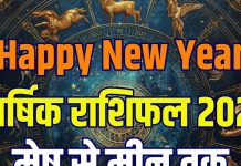 New Year 2026 rashifal 12 zodiac signs predictions mesh to meen rashi yearly horoscope aries to pisces | New Year 2026 Horoscope: आपके लिए कैसा रहेगा नया साल 2026? जानें मेष से लेकर मीन तक का वार्षिक राशिफल