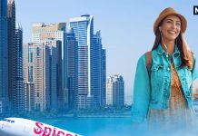 SpiceJet | Ahmedabad to Sharjah direct flight | केम छो शारजाह! कनेक्टिंग फ्लाइट की झंझट हुआ खत्म, पैसेंजर्स को मिलेगा सीधा-आसान सफर | SpiceJet non-stop flights Ahmedabad Sharjah direct connectivity passengers between India UAE