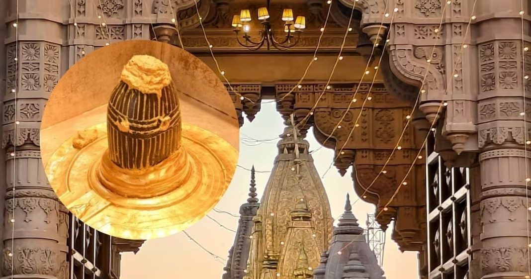 Vasant Panchami 2026 kashi traditional Tilakotsav of Baba Vishwanath today on Basant Panchami | सप्तर्षि आरती से पहले आज श्रीकाशी विश्वनाथ का चढ़ाया जाएगा तिलक, जानें कब है विवाह और गौना?