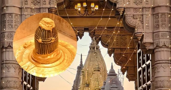 Vasant Panchami 2026 kashi traditional Tilakotsav of Baba Vishwanath today