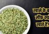 Benefits of fennel or saunf: भोजन के बाद क्यों खाते हैं सौंफ? जानते हैं सही वजह