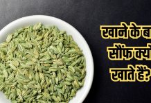 Benefits of fennel or saunf: भोजन के बाद क्यों खाते हैं सौंफ? जानते हैं सही वजह