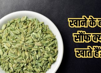 Benefits of fennel or saunf: भोजन के बाद क्यों खाते हैं सौंफ? जानते हैं सही वजह