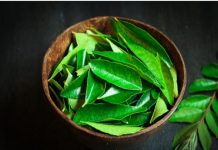 रोज़ खाली पेट चबा लें ये पत्ते, जड़ से खत्म होंगी ये 8 बीमारियां! वजन और शुगर के लिए है अचूक दवा