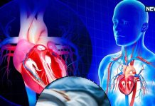 दिल्ली में हार्ट डिजीज से मौतें 170% बढ़ीं, जानें कारण-बचाव