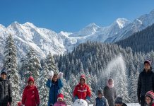 Best Place to enjoy snowfall in 2026: जनवरी में बर्फबारी के लिए भारत की सबसे खूबसूरत जगहें