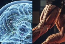 secret of a sharp mind lies in the feet: मजबूत पैर कैसे दिमाग को बनाते हैं तेज?