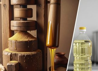 Ganuga Oil benefits, गनुगा तेल रिफाइंड से महंगा क्यों? जानें उत्पादन व गुणवत्ता कारण