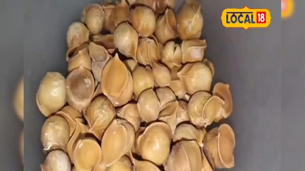 कोलेस्ट्रॉल से लेकर शुगर तक में मिलते हैं ये 5 चमत्कारी फायदे – Bharat.one हिंदी