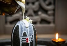 shivling ko dahi chadhane ke fayde। शिवलिंग को दही चढ़ाने के फायदे