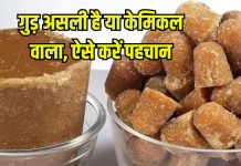 Easy ways to identify real vs fake jaggery: असली-नकली गुड़ की पहचान करने के आसान तरीके