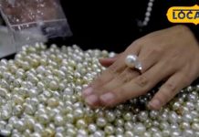 मोती की अंगूठी पहनने से पहले जान लें, कब और कैसे करें धारण? पंडित ने बताया सही तरीका