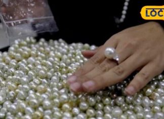 मोती की अंगूठी पहनने से पहले जान लें, कब और कैसे करें धारण? पंडित ने बताया सही तरीका