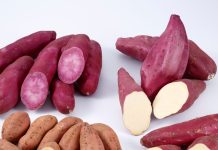 sweet potato quality check, शकरकंद खरीदते समय असली और अच्छी क्वालिटी की पहचान कैसे करें.