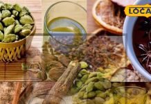 देसी नुस्खों से सेहत का संतुलन: 5 जादुई हर्बल पानी | Ayurvedic Tips for Sugar Sleep and Hormones