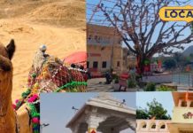 Pushkar Religious Tourism | Budget Tourism Pushkar | Free Temple Darshan Pushkar | Pushkar Lake Visit | Pushkar Nature Beauty | Pushkar Sightseeing Free | Temple Tour Rajasthan