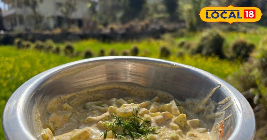 अचानक मेहमान आ गए? झटपट बनाएं ये खास ककड़ी रायता, स्वाद रहेगा घंटों ताजा, जानिए आसान रेसिपी – Uttarakhand News