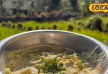 अचानक मेहमान आ गए? झटपट बनाएं ये खास ककड़ी रायता, स्वाद रहेगा घंटों ताजा, जानिए आसान रेसिपी – Uttarakhand News