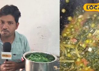 कम मसालों में ज्यादा स्वाद, बर्रे भाजी और मटर की झटपट वाली छत्तीसगढ़िया रेसिपी – Chhattisgarh News