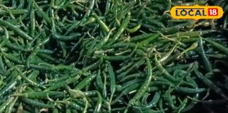 डायबिटीज के मरीज रोज करें हरी मिर्च का सेवन, इम्युनिटी भी होती है बूस्ट, जहानाबाद के होम्योपैथी डॉक्टर ने बताए फायदे