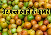 Health Benefits of Ber fal: सर्दियों में बेर फल खाने के फायदे