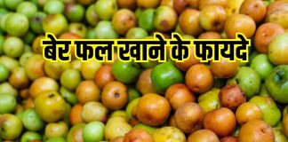 Health Benefits of Ber fal: सर्दियों में बेर फल खाने के फायदे