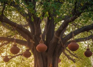 Peepal tree ritual after death। मृत्यु के बाद पीपल पर मटका क्यों लटकाया जाता है