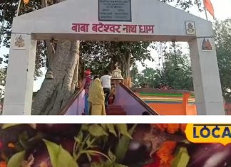 Vaishali Baba Bateshwar Nath Dham offers baingan to mahadev