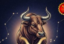 Vrishabh Rashifal: वृषभ राशि वालों की किस्मत में क्या है खास? जानिए आज बिजनेस, नौकरी और प्यार का हाल, ज्योतिष से जानें – Uttar Pradesh News