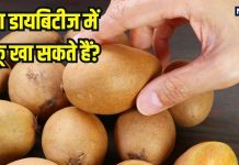 Can diabetics eat Chikoo: क्या डायबिटीज के मरीज चीकू खा सकते हैं? जानें क्या कहते हैं एक्सपर्ट