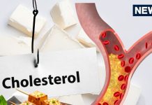 Does eating paneer increase cholesterol: पनीर खाने से कोलेस्ट्रॉल बढ़ता है?