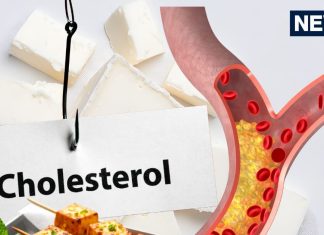 Does eating paneer increase cholesterol: पनीर खाने से कोलेस्ट्रॉल बढ़ता है?