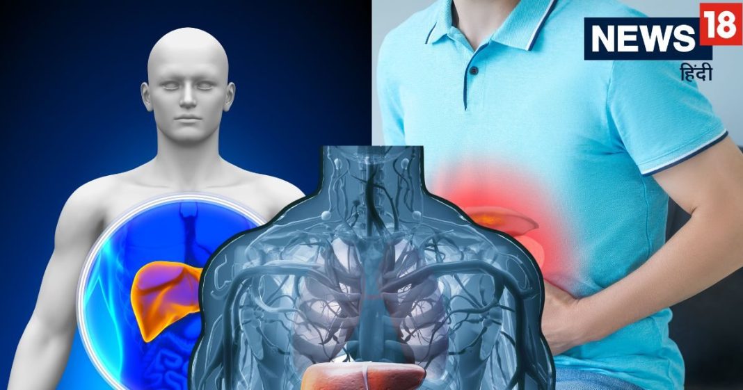 5 stomach symptoms related to fatty liver: फैटी लिवर के शुरुआती लक्षण