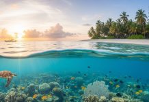 St. Martin’s Island Bangladesh। सेंट मार्टिन आइलैंड बंद